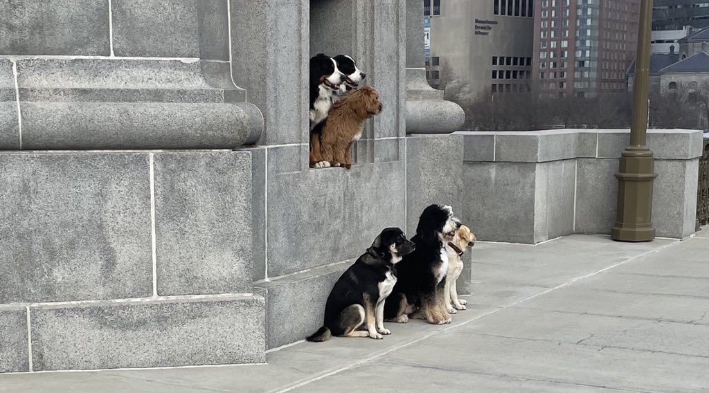 Dudes Posting Their W’s tweet media