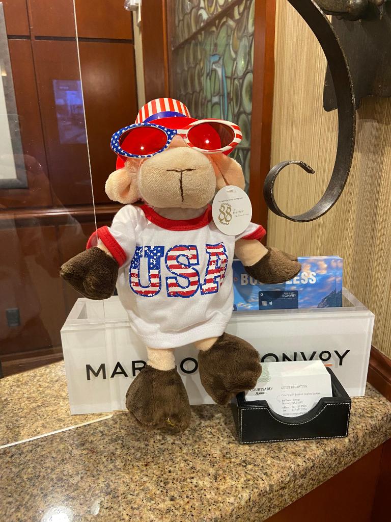 CourtyardCopley's tweet photo. #ExeterTheSheep wants to wish everyone a happy Fourth of July! https://t.co/PgxBvc4A8u