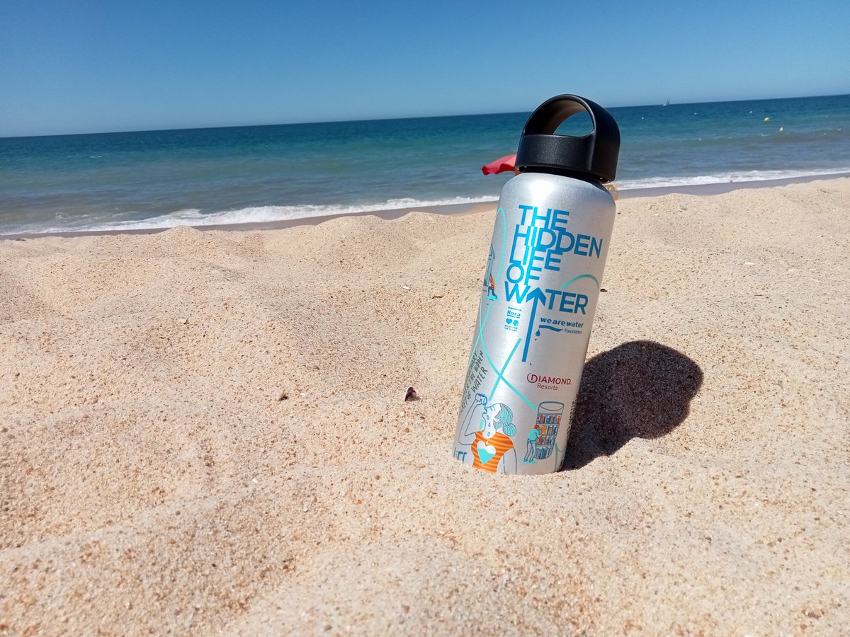 Sónia Fialho Peralta tweet media