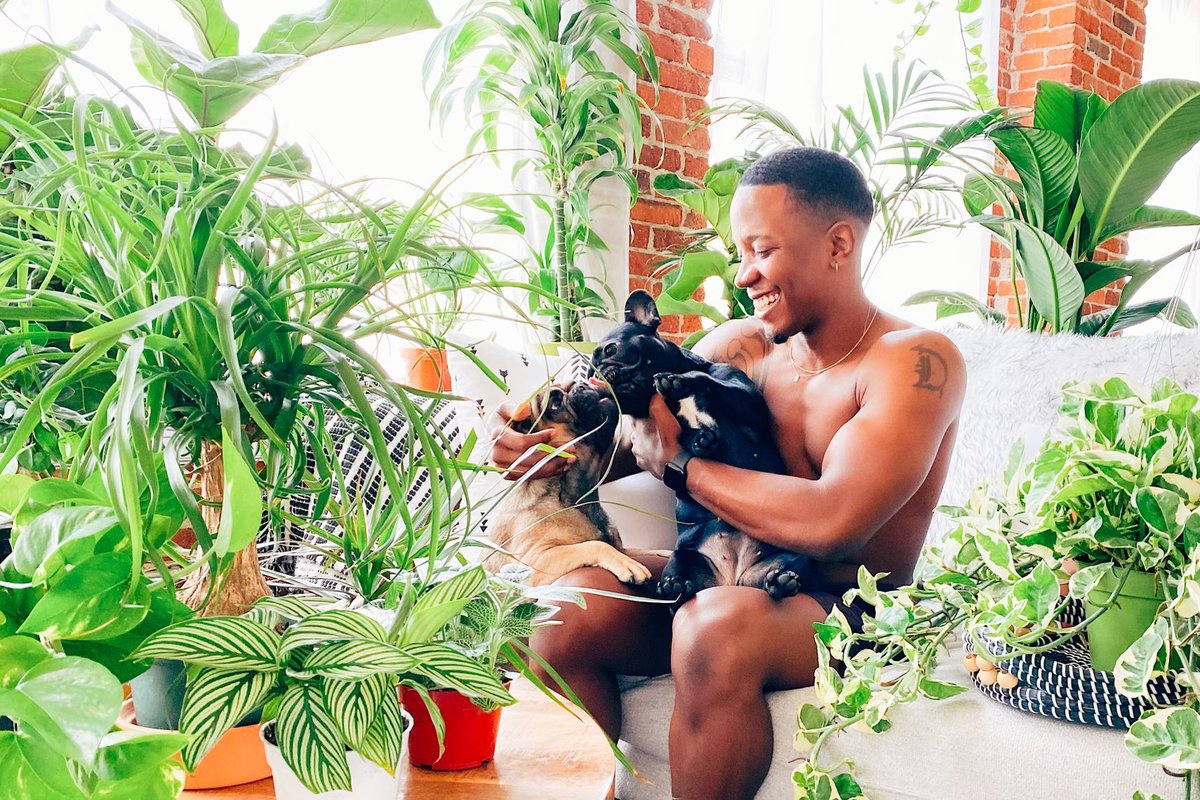 Sir_Dave_'s tweet photo. C•U•L•T•I•V•A•T•I•N•G
.
.
.
#plants #plantdaddy #GardenersWorld #gardening #flowers #frenchie #LA https://t.co/nd9C63nDYK