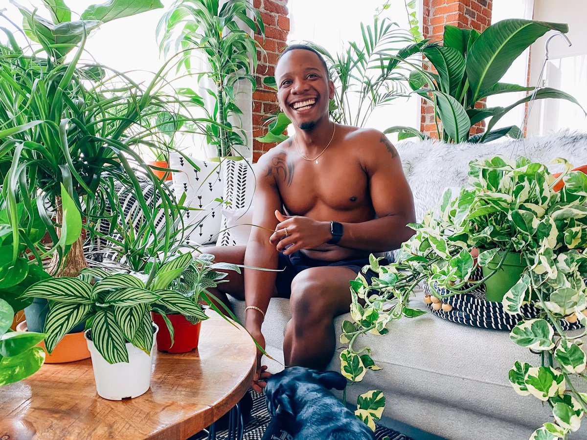 Sir_Dave_'s tweet photo. C•U•L•T•I•V•A•T•I•N•G
.
.
.
#plants #plantdaddy #GardenersWorld #gardening #flowers #frenchie #LA https://t.co/nd9C63nDYK