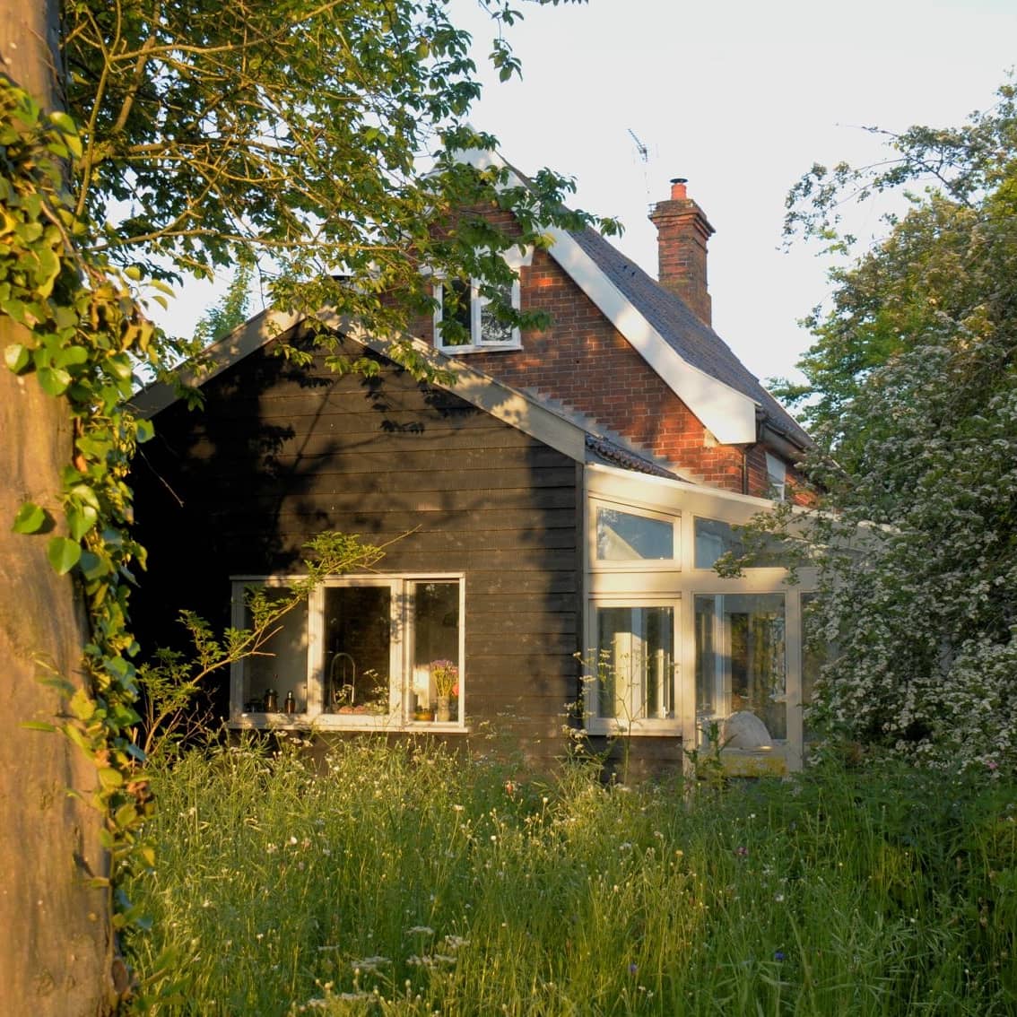 Wakelyns tweet media