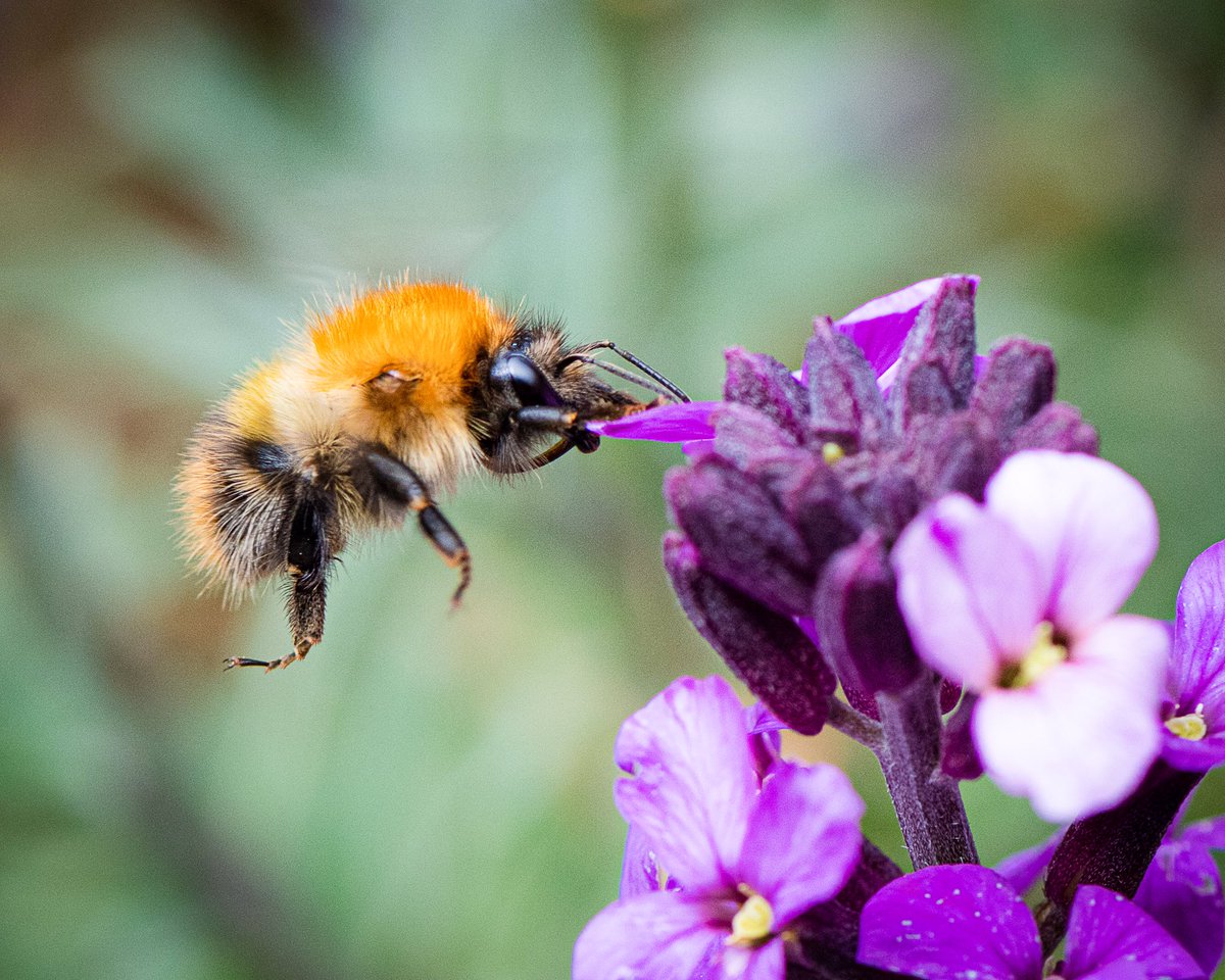 🌱 Debbie tweet media