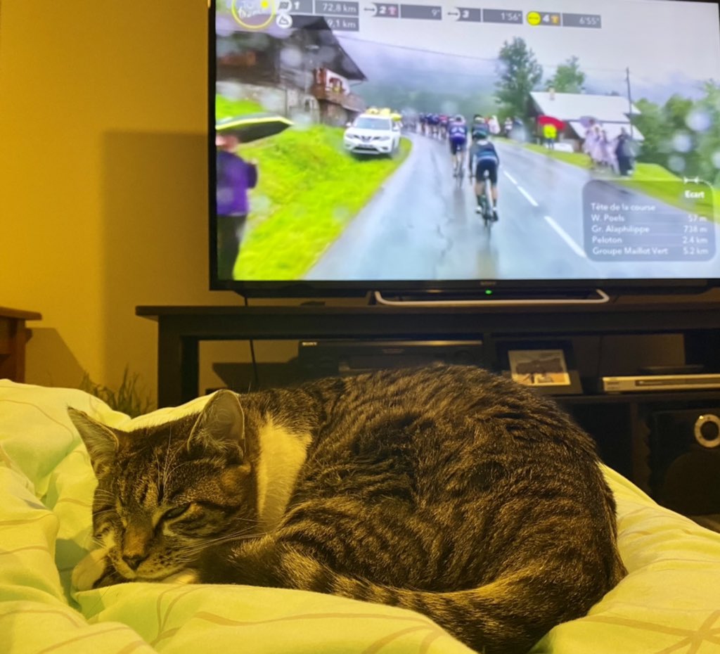 TheGreenest_'s tweet photo. Stage 9. Crap weather. #couchpeloton #cattour #sbstdf #TDF2021 https://t.co/QZ3Q6lVBc6