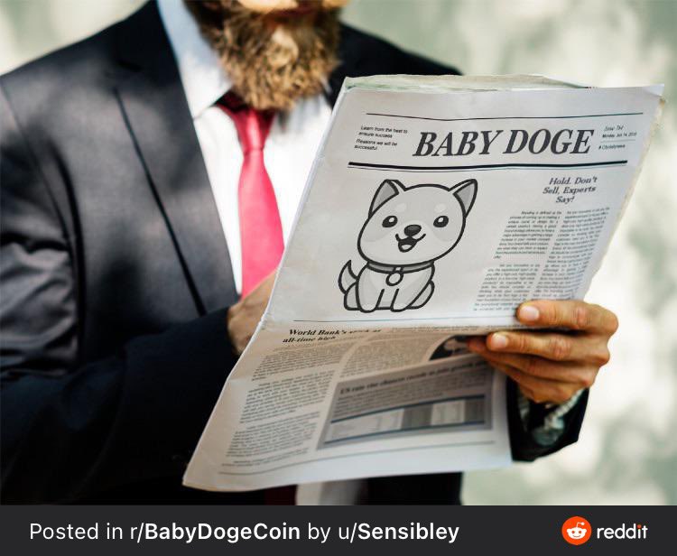 BabyDoge's tweet photo. Breaking news:

300,000+ #BabyDoge holders 🐶🍼 https://t.co/2y3gQbIri4