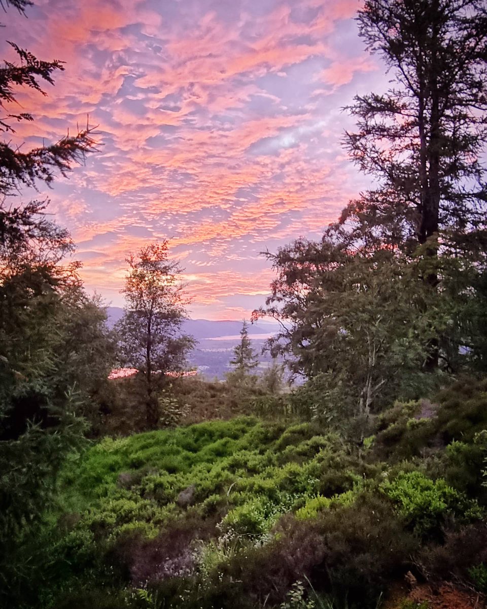 Castlerigg Hall tweet media
