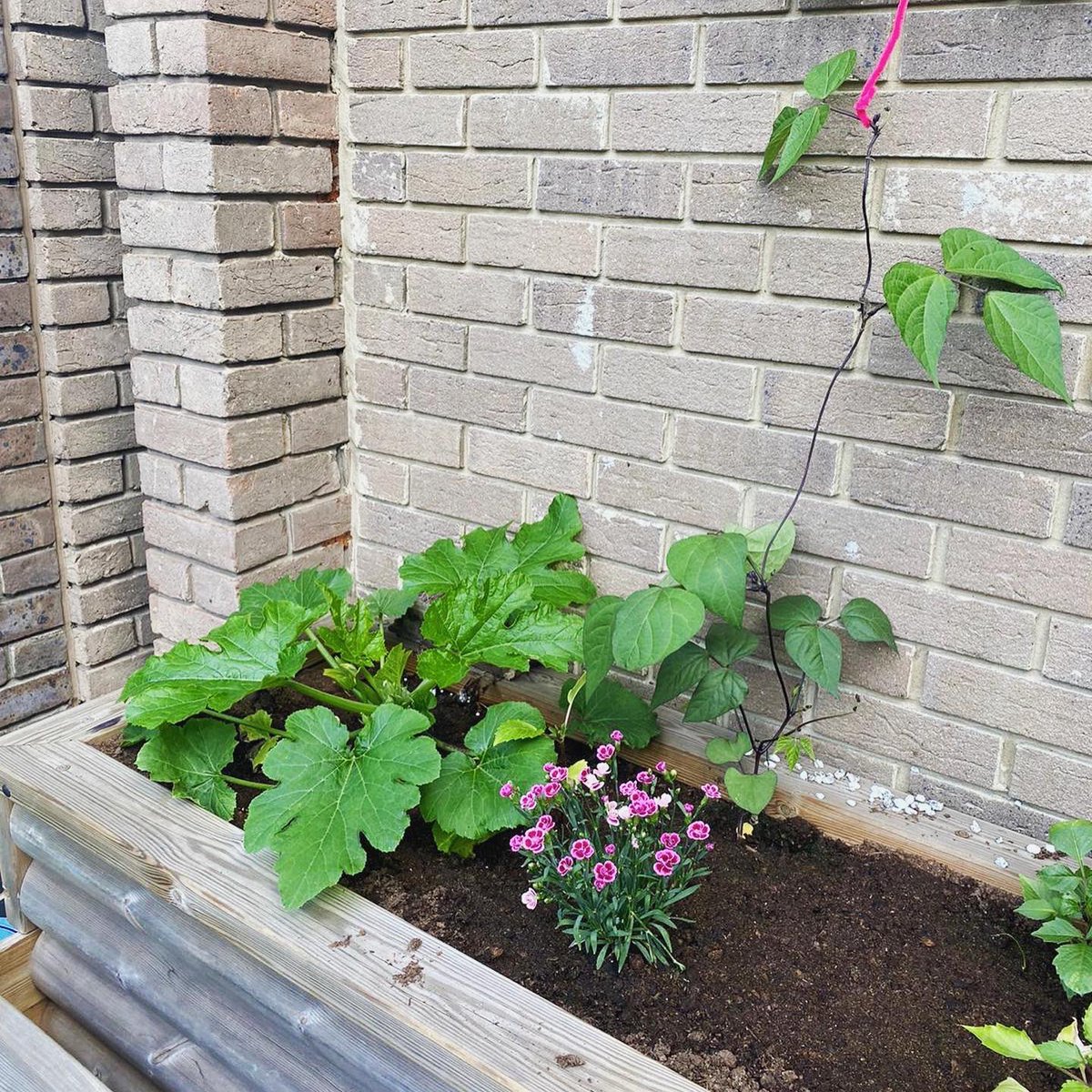 Ward L30 tweet media