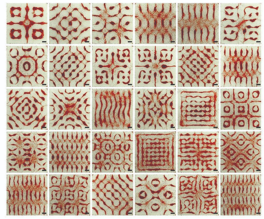 Three Days Dark tweet media