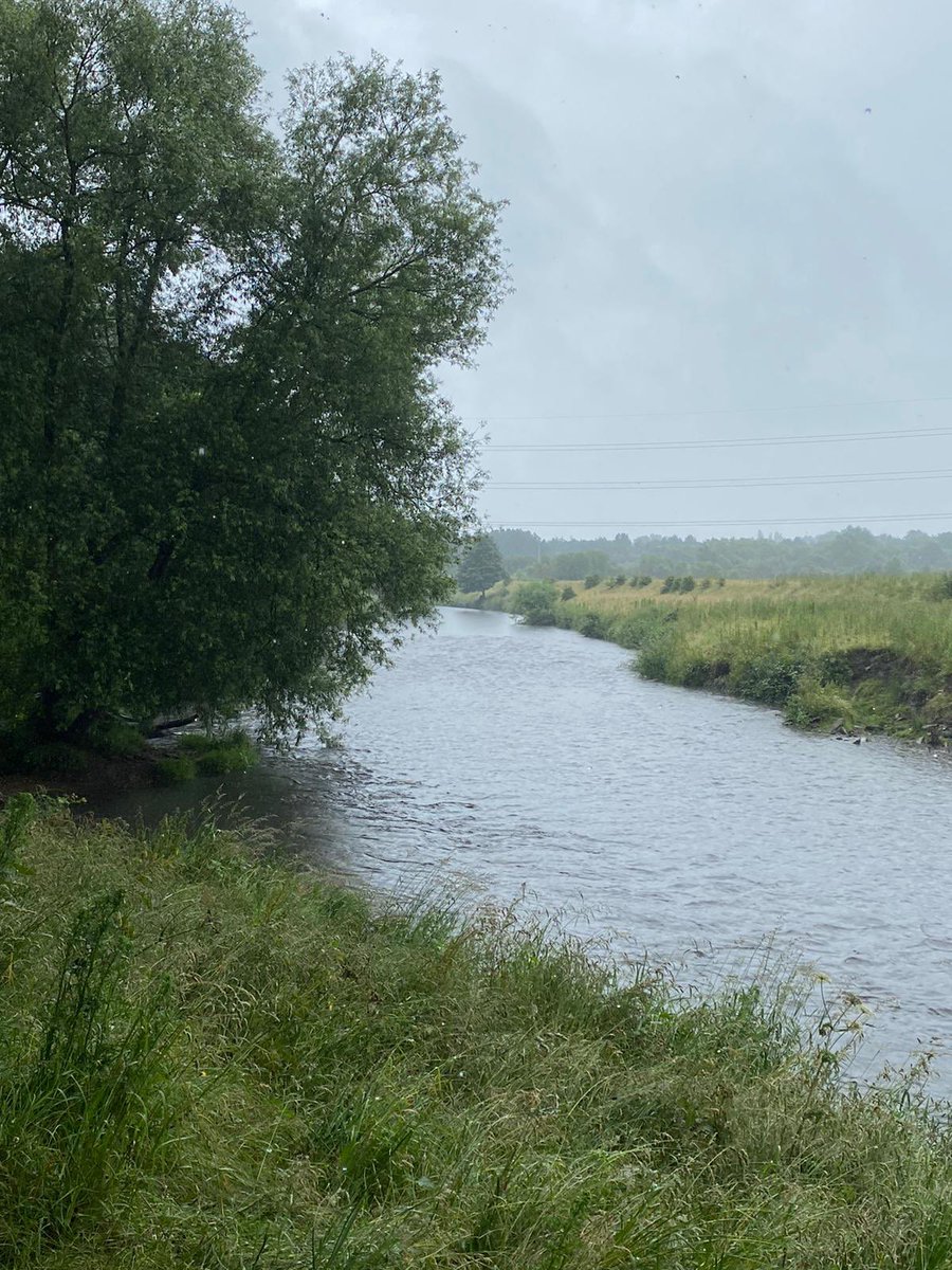 Jane Grimshaw tweet media