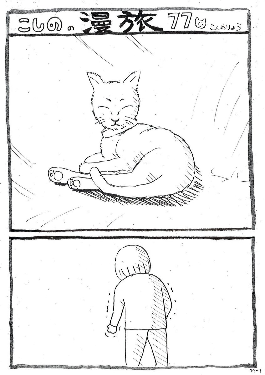 猫と真剣勝負し・・・ 