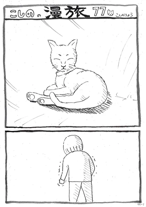 猫と真剣勝負し・・・ 