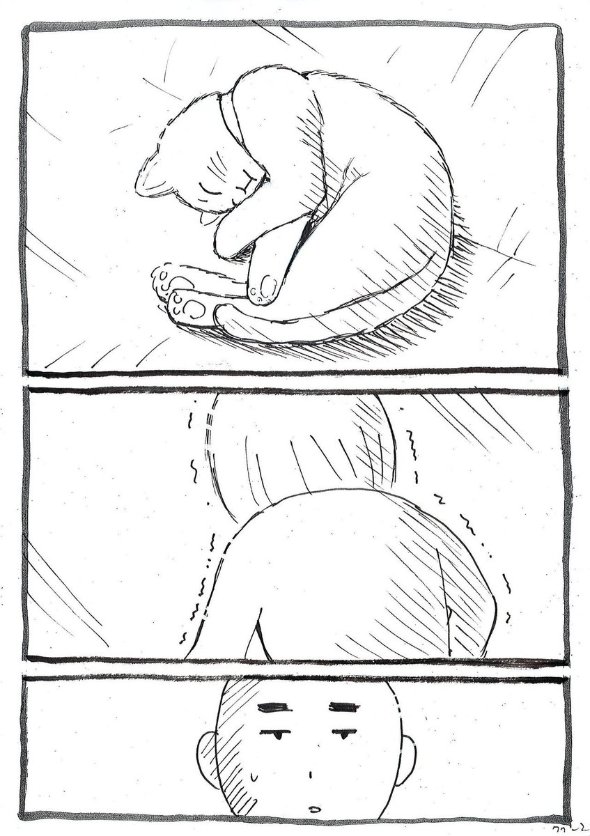 猫と真剣勝負し・・・ 