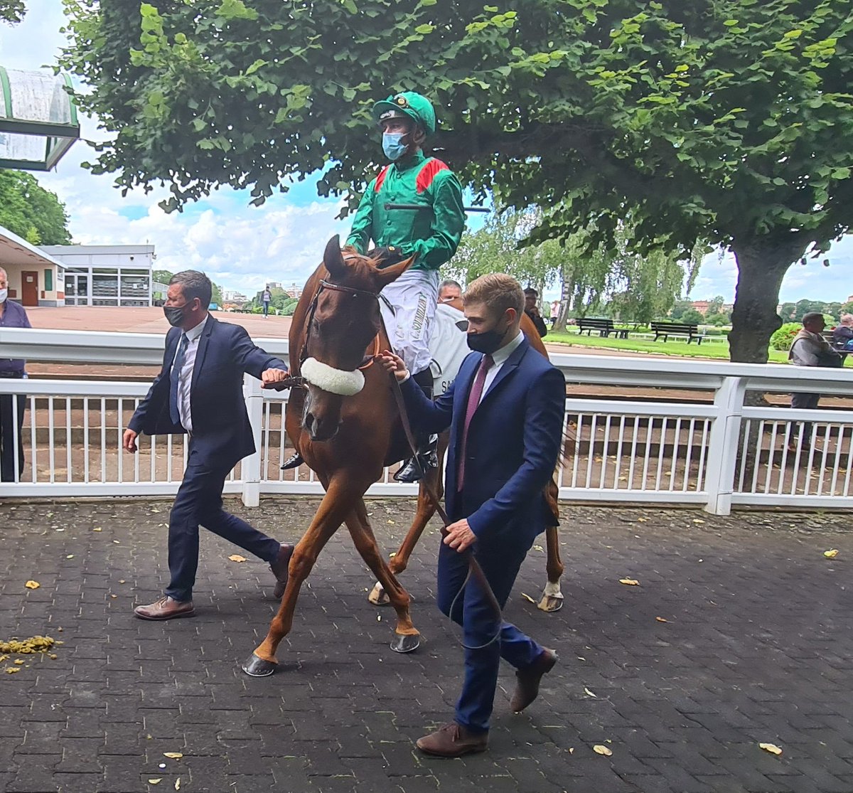 seenthestars's tweet photo. Grand Prix de Saint-Cloud #BaronSamedi #Broome #Ebaiyra #InSwoop @RacingPost https://t.co/9w2idxa0Af
