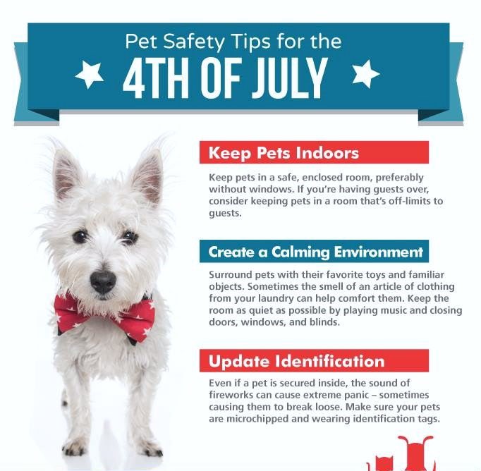 RUFFAcademy's tweet photo. Ready to have a great 4th! Stay safe! Have fun! @AndrewTMcCarthy @CollinsChadM @chrishemsworth @ChrisEvans @TheEllenShow @coldplay https://t.co/JEd47bC7Vb