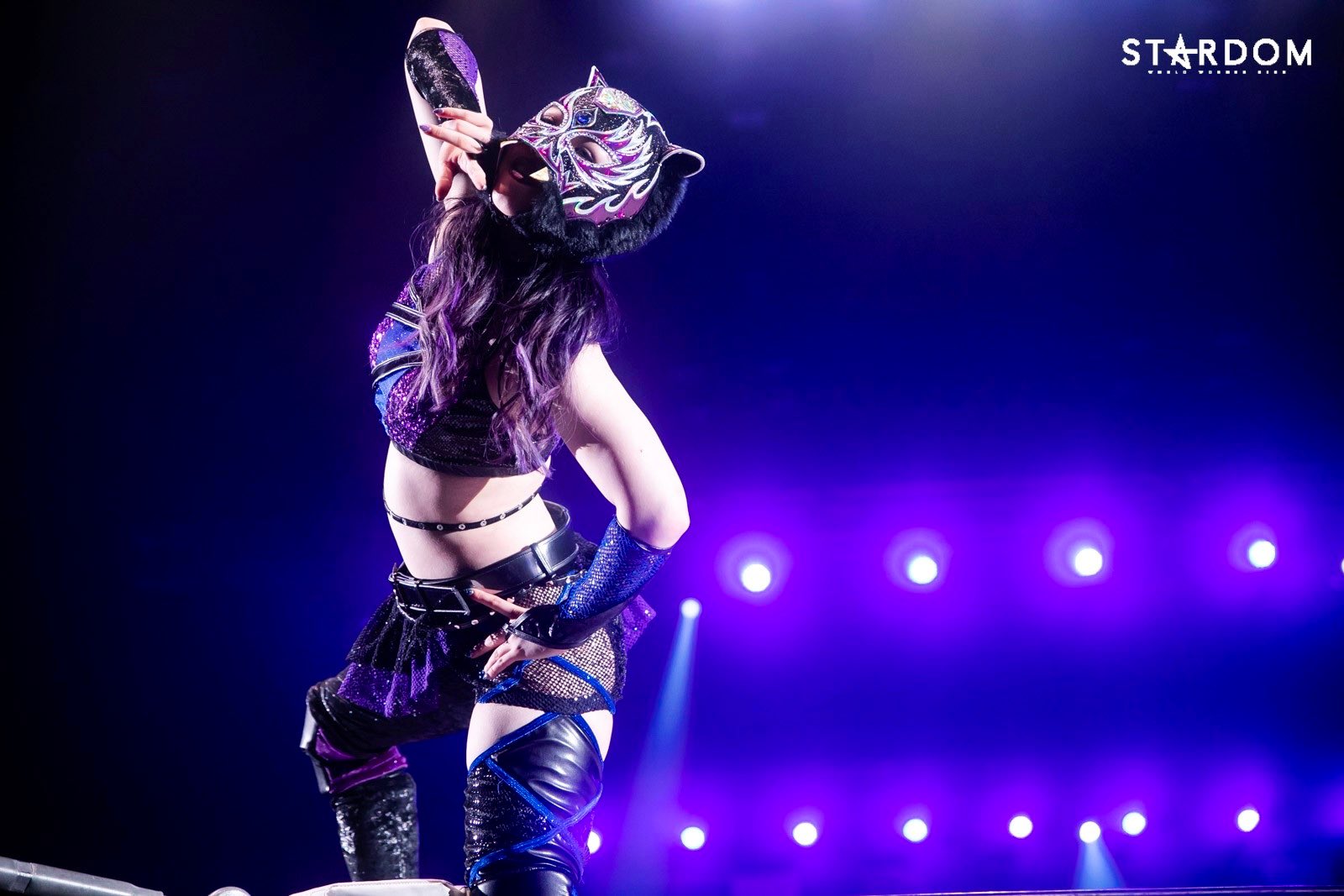 スターダム💙スターライト・キッド🐯🤍 on X: 