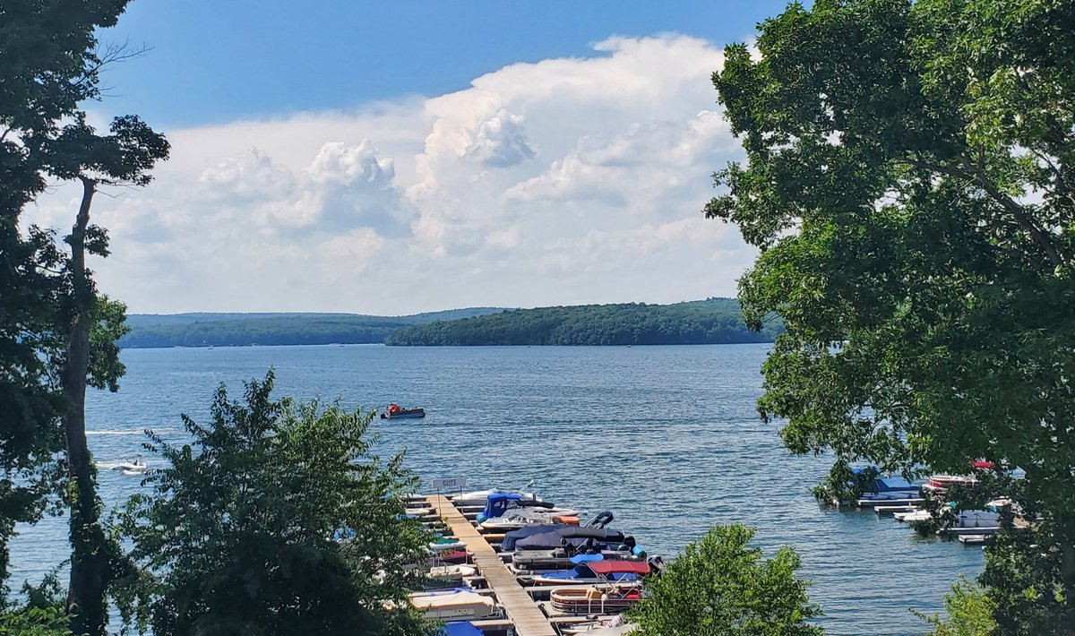 Silver Birches tweet media