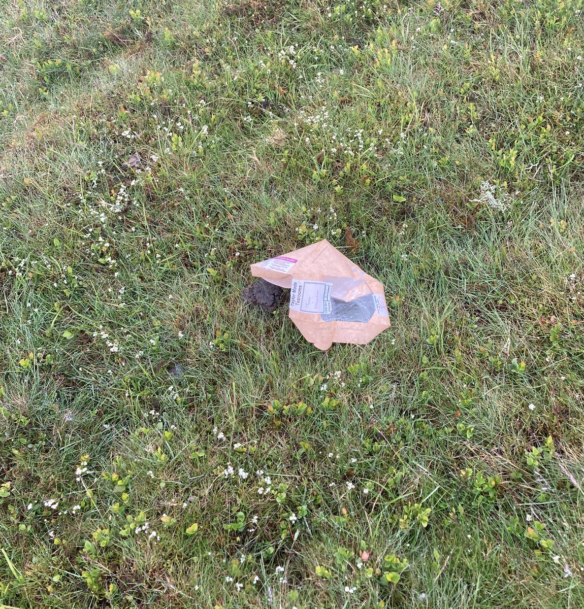 michlichen's tweet image. This tuna &amp;amp; cucumber sandwich packaging must have been too heavy to carry off Skiddaw 🤔 @LakesPlasticCol #dirtyb*****ds