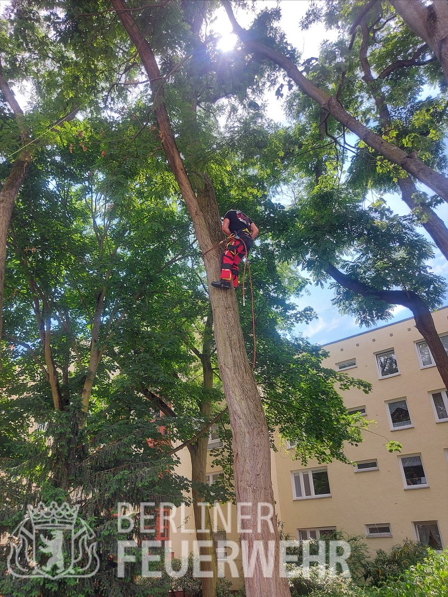 Berliner Feuerwehr On Twitter Abschliessender Nachtrag Die Krahe Hatte Sich Unglucklich In Einer Schnur Verfangen Und Konnte Aufgrund Der Engen Platzverhaltnisse Nur Durch Unsere Spezialisten Gerettet Werden Https T Co N4vqzbshta