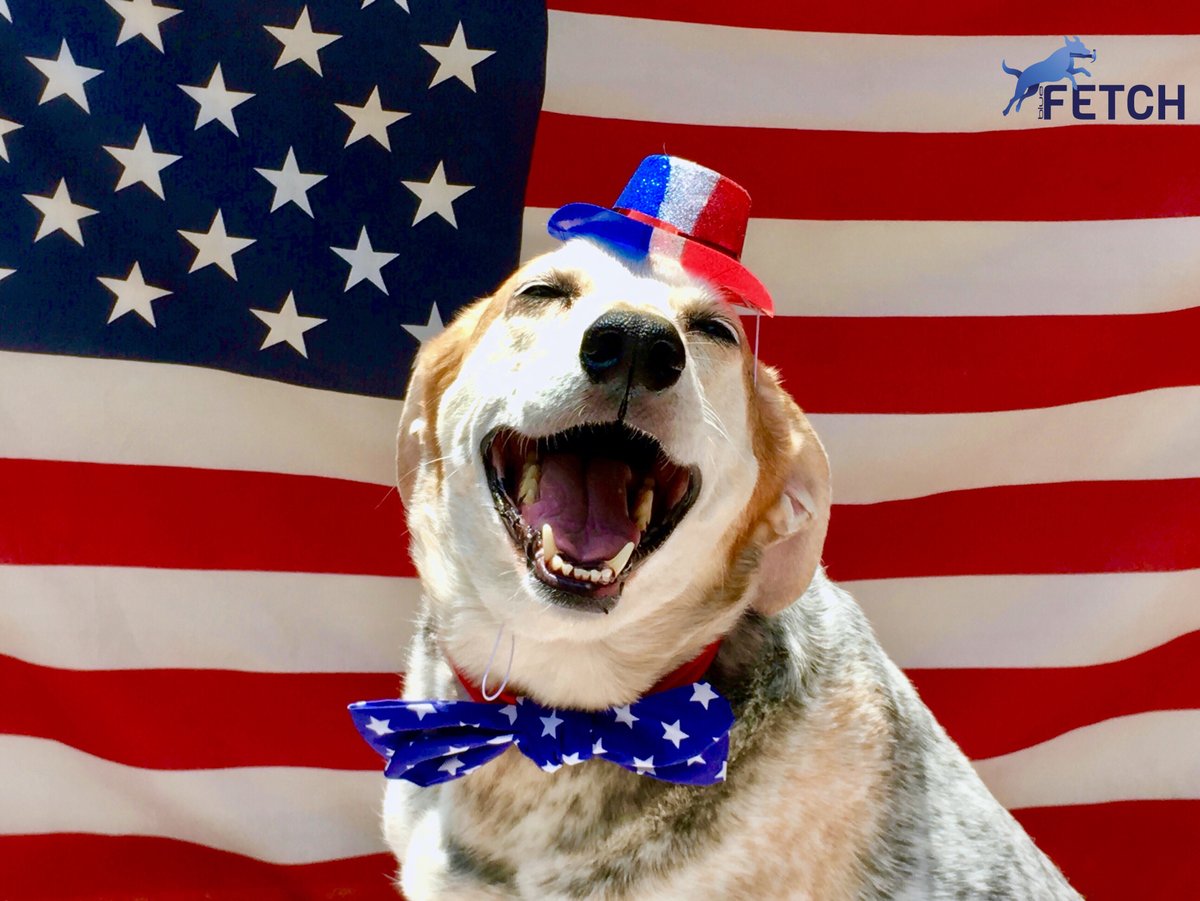 From all of us at Blue Fetch, Happy 4th of July! #july4th2021 #FetchitFast #BlueFetch