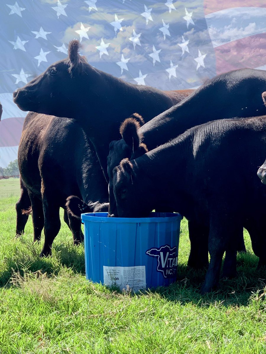 GetTheBlueTub's tweet photo. God Bless America! Happy 4th of July, thank you too all of the hard working individuals that keep this country great and feed the world. https://t.co/7RCvWiLqsA