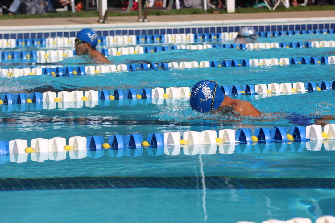 Langley Wildthings tweet media