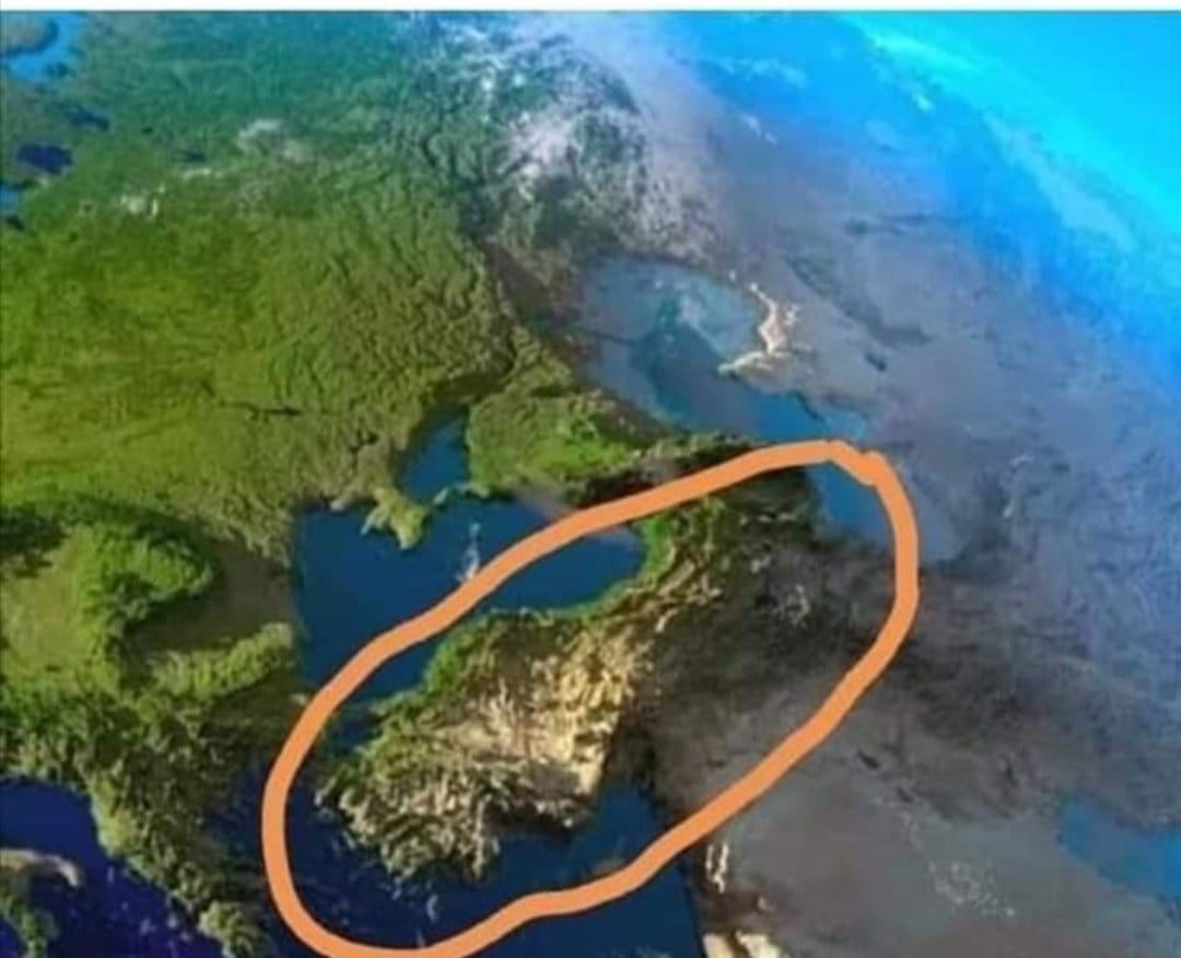 Acilen ağaç dikmemiz gerekiyor bizim.!
Ağaç yoksa yağmur yok.
Yağmur yoksa su yok.
SU yoksa meyve, sebze yok.
HAYAT yok...!