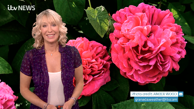EmmaJessonTV's tweet photo. VIDEO: here's your #pollen @granadareports sponsored by #Piri #piriton #pirinase #pirinatural #piriteze #byebye
https://t.co/RqqOLbHHIQ https://t.co/t2oHyFNLfr