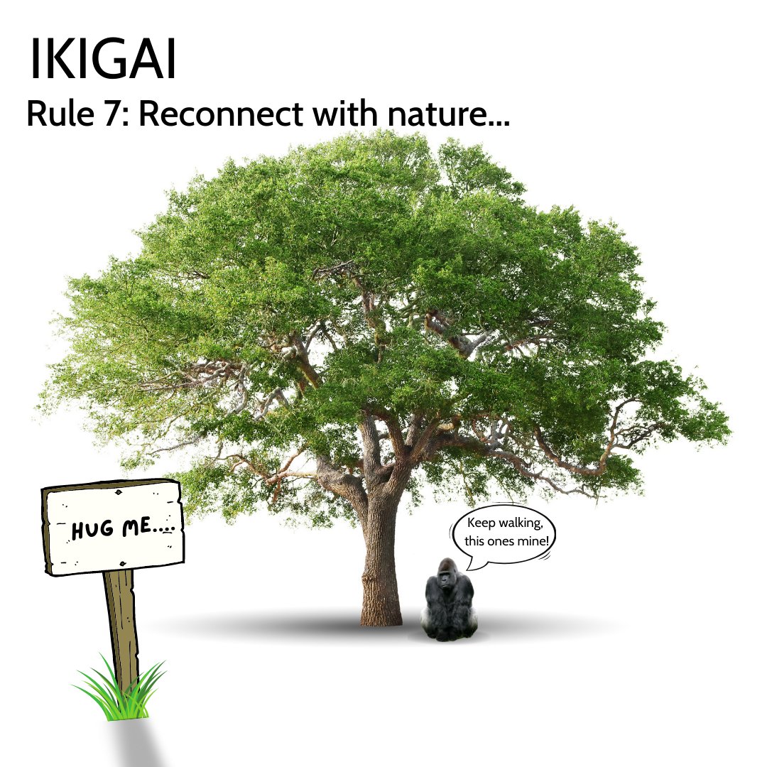 GorillaConsult1's tweet photo. Ikigai - The Japanese secret to a long and happy life

Rule 7: Reconnect with nature...

Though most people live in cities these days, human beings are made to be part of the natural world. We should return to it often to recharge our batteries.

#ikigai #reconnectwithnature https://t.co/VOHmAEqXg8