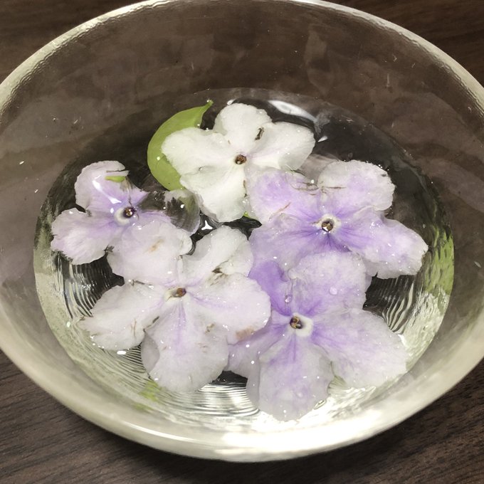 ジャスミンのtwitterイラスト検索結果 古い順