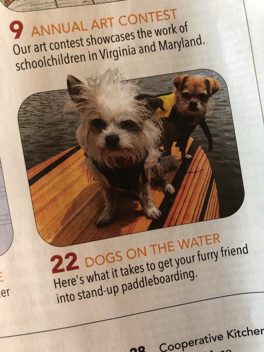 CreaseySue's tweet photo. Check out my latest article in Cooperative Living Magazine, β#SUP with your #Pup.β #amwriting #freelancewriter #freelancewriting #naturewriter #outdoorwriter #dogsarepeopletoo #thelittles #standuppaddleboarding #SUPpups #writelife #lovetowrite #writinggoals #WritingCommunity https://t.co/YLPFtd94WT