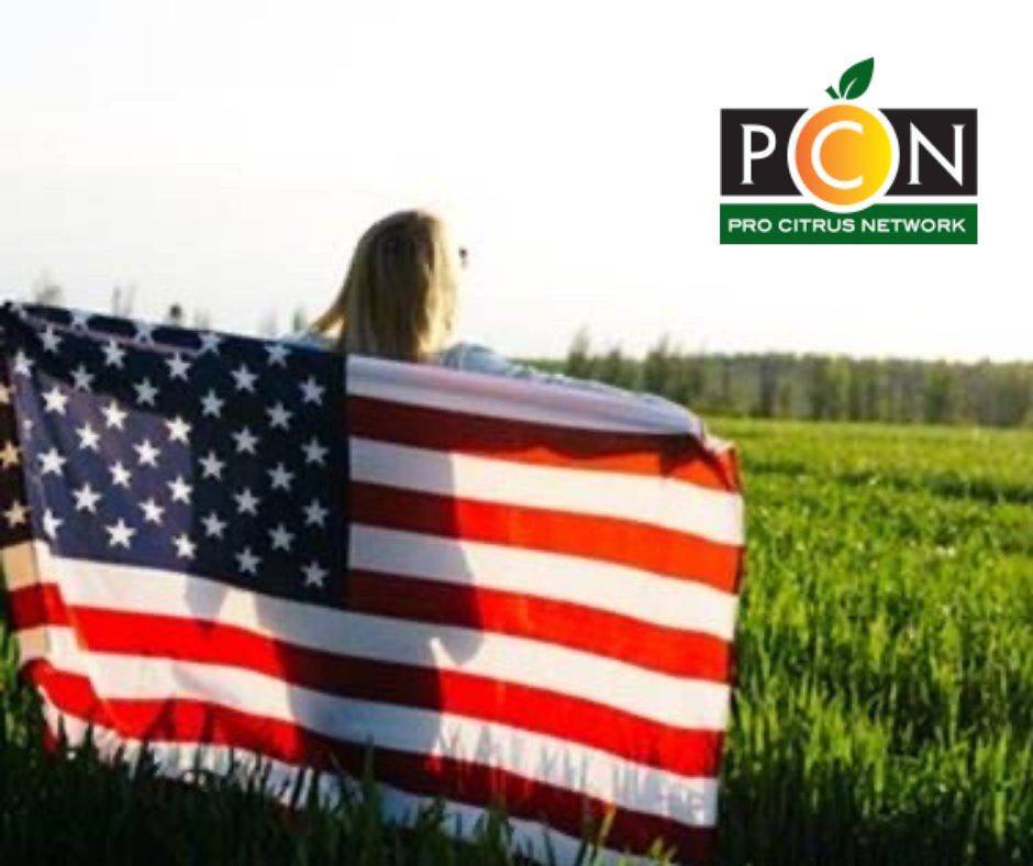 CitrusPro's tweet photo. Happy Independence Day from all of us at PCN!

#PCN #4thOfJuly #IdependenceDay https://t.co/6IC0a5a58G
