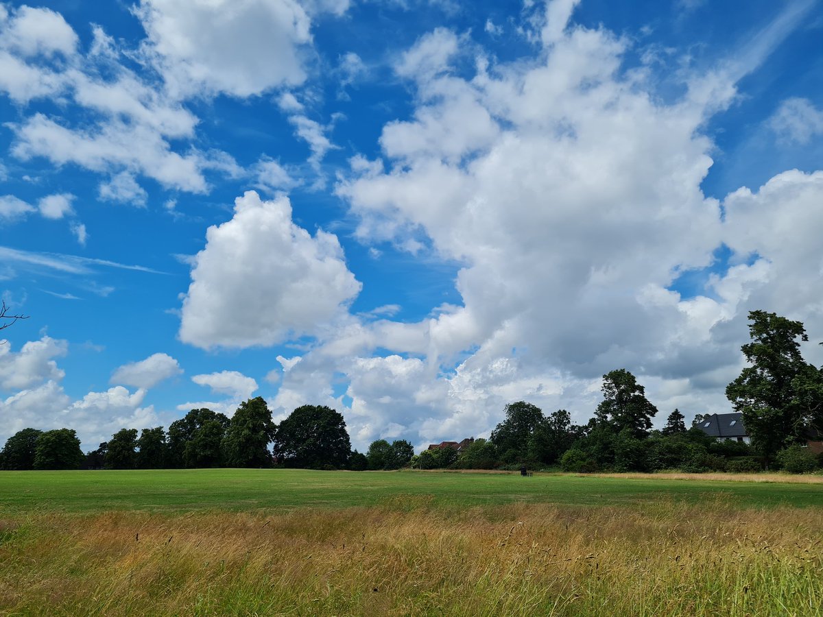 LadyVee49's tweet image. You know days where nothing goes to plan....yep, that&apos;s me today. Awful run, too hot, too wet, unfamiliar route. I might as well blend in with the grass 😡😡😡😡 #lockdownrun #day179 #ukrunchat