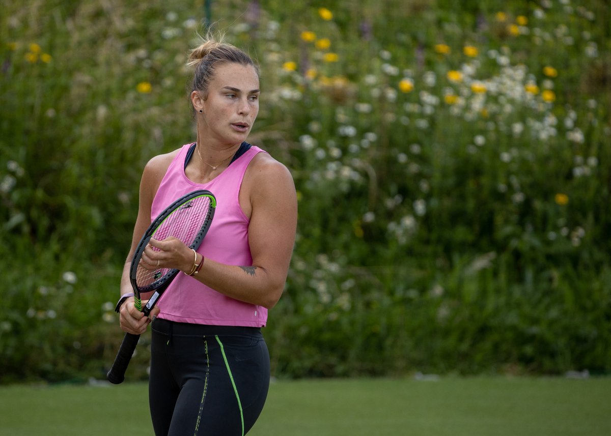 Wimbledon tweet media