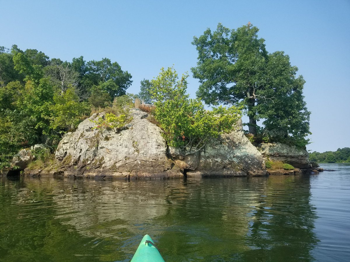 ethnopoetics's tweet photo. Back at it, early morning paddle #southernillinois #kayaking #shawneenf #cedarlake https://t.co/VUq79393Y4