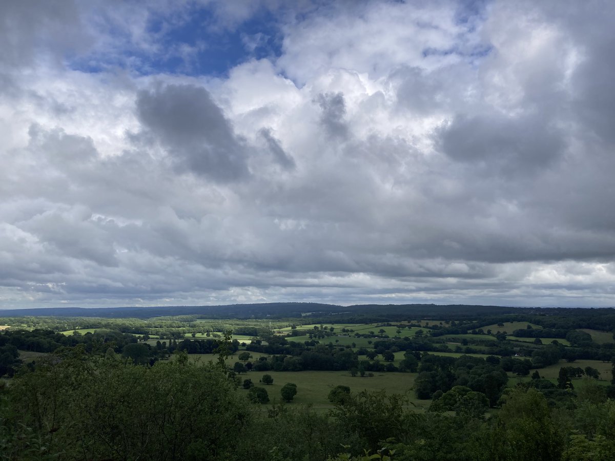 carlo prina tweet media