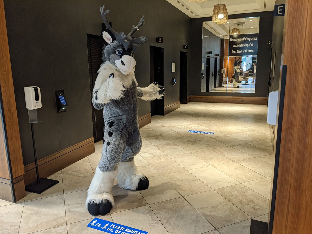 NunavutTuktu's tweet photo. Best @anthrocon ever!
#Anthrocon2021 #AC2021 #SokiSunday https://t.co/9mHrGWYadj