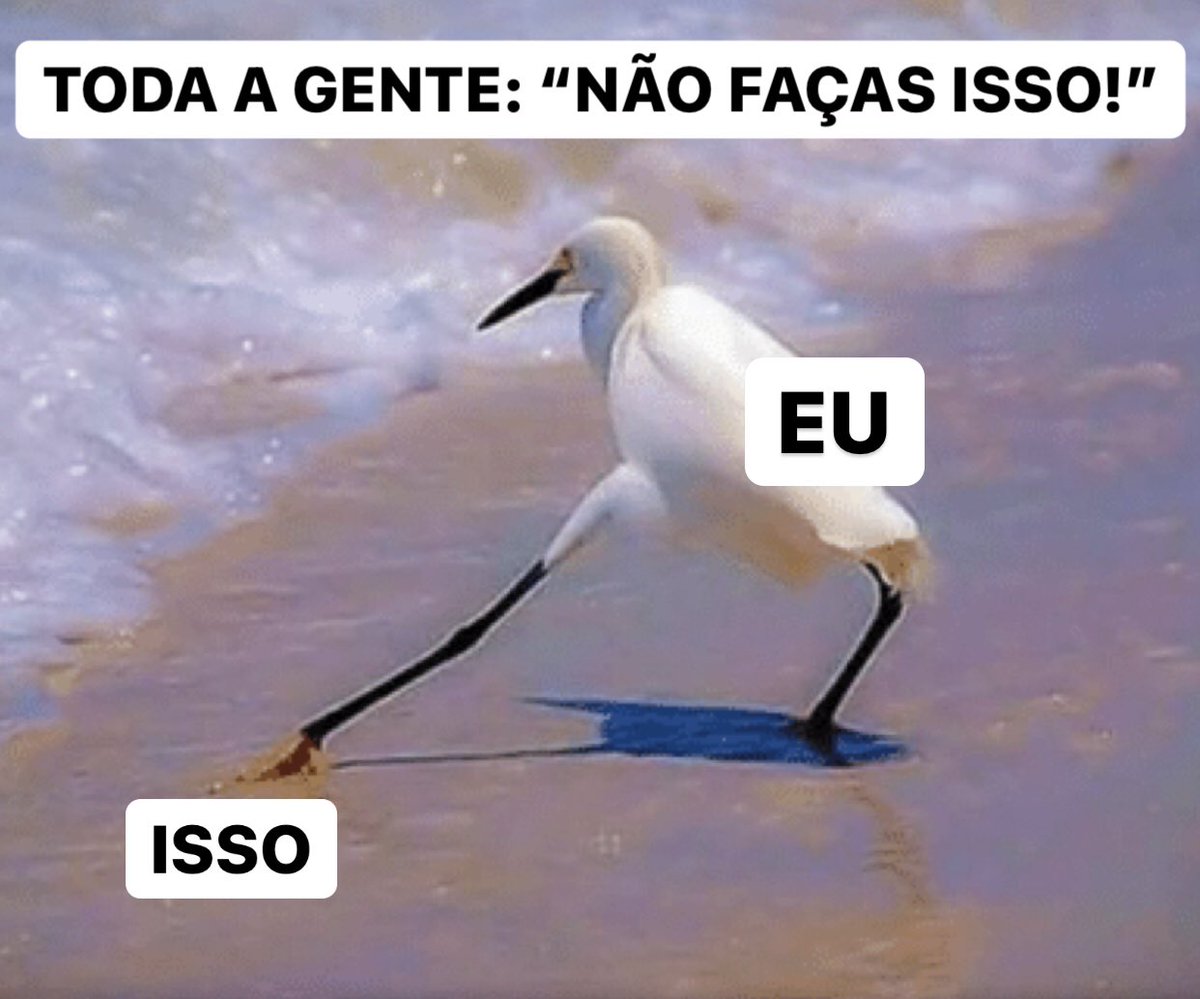 frases de m3rda (@frasesdem3rda) on Twitter photo 