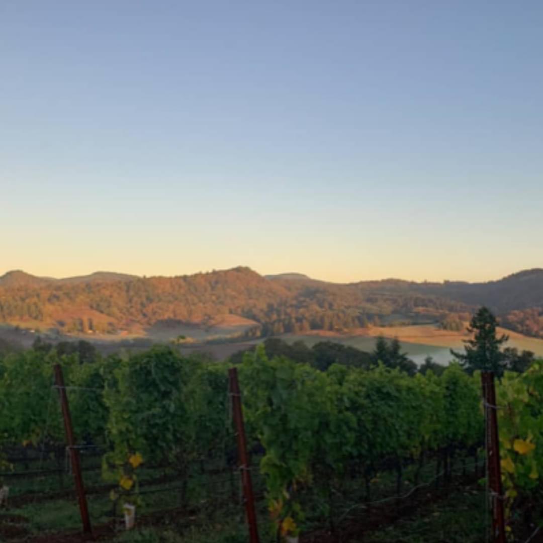 Coeur de Terre tweet media