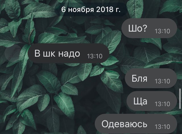 _koal_'s tweet photo. Любил я учиться в школе;
Уроки с 8:00, тем временем я в 13:10: https://t.co/P9lR5XAuF8