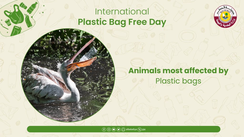 albaladiya's tweet photo. Limiting the use to plastic and focusing on using better alternatives is a small decision, but has huge outcomes and benefits to our future.
#PlasticBagFreeDay
#StopPlasticPolution
#FutureWithoutPlastic https://t.co/arktDlGY5j