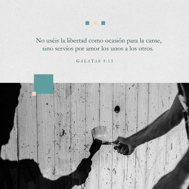 distspeed's tweet image. “Porque vosotros, hermanos, a libertad fuisteis llamados; solamente que no uséis la libertad como ocasión para la carne, sino servíos por amor los unos a los otros.”
Gálatas 5:13 RVR1960
bible.com/149/gal.5.13.r…