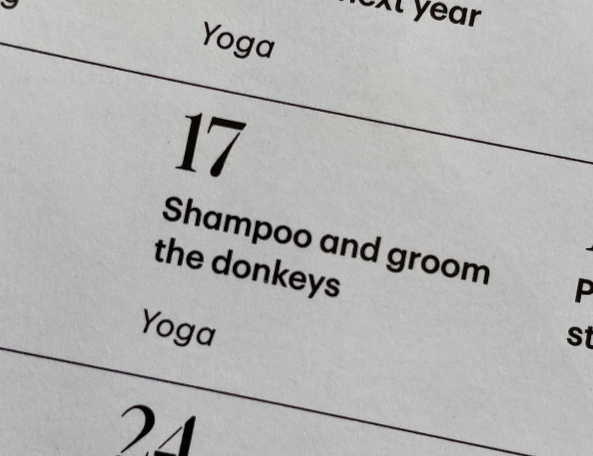 carrietimes's tweet photo. I bought a Martha Stewart Living magazine to enjoy at the beach and they have Martha’s summer calendar w “gentle reminders, helpful tips, important dates” everyone, don’t forget to: https://t.co/evxRHAxqsP