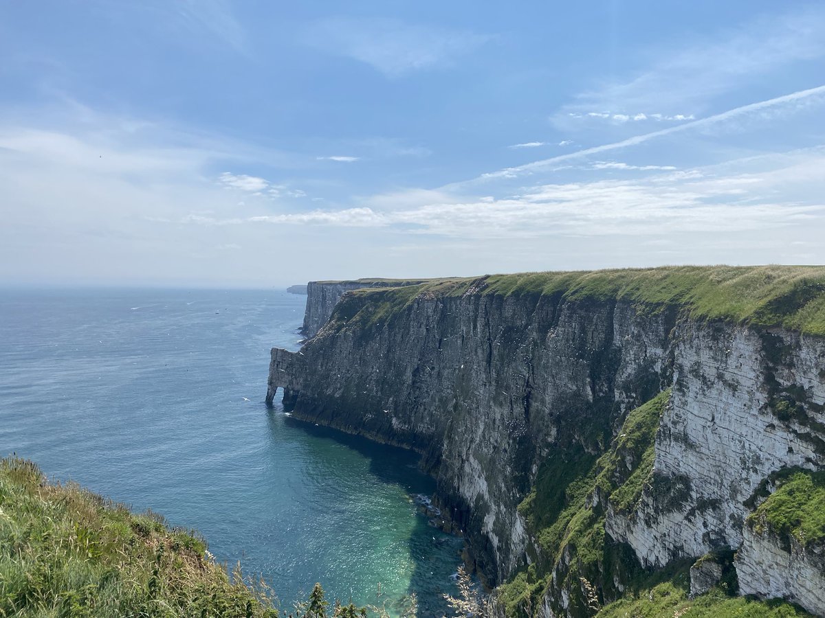 Stefan McElwee tweet media