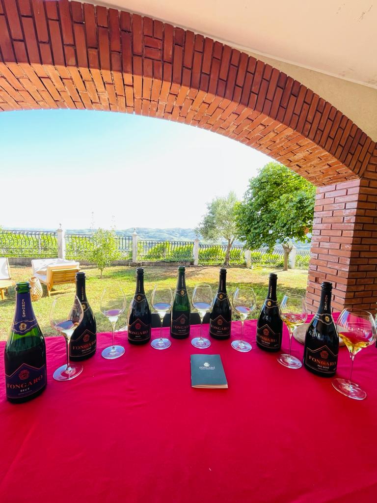 KerinOKeefe's tweet photo. One of the pioneers of #LessiniDurello #MetodoClassico, #Fongaro makes dry, savory wines with volvanic energy and remarkable finesse. The 2010 #PasDose  shows the wine's serious aging potential. Brava Tanita Danese, the firm's owner &amp; winemaker! https://t.co/GWmYQHg6Yw