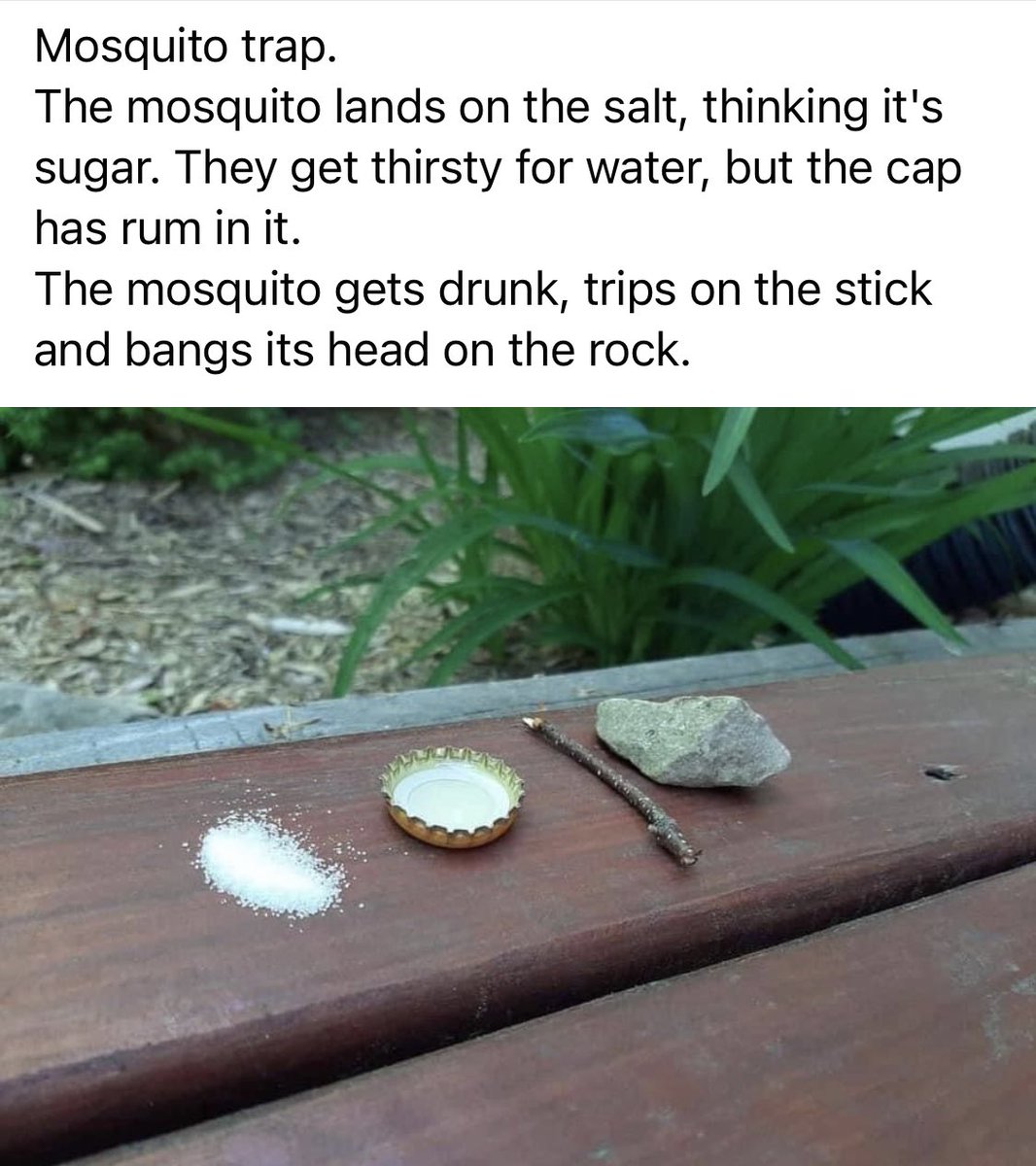 This is how science works: you start with a hypothesis, then test and observe