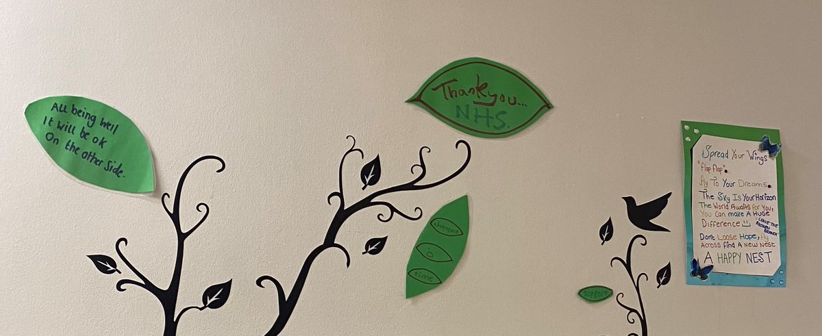 nicoletta_lekka's tweet photo. #Safewards #DischargeTree https://t.co/t2JNmkTkzM