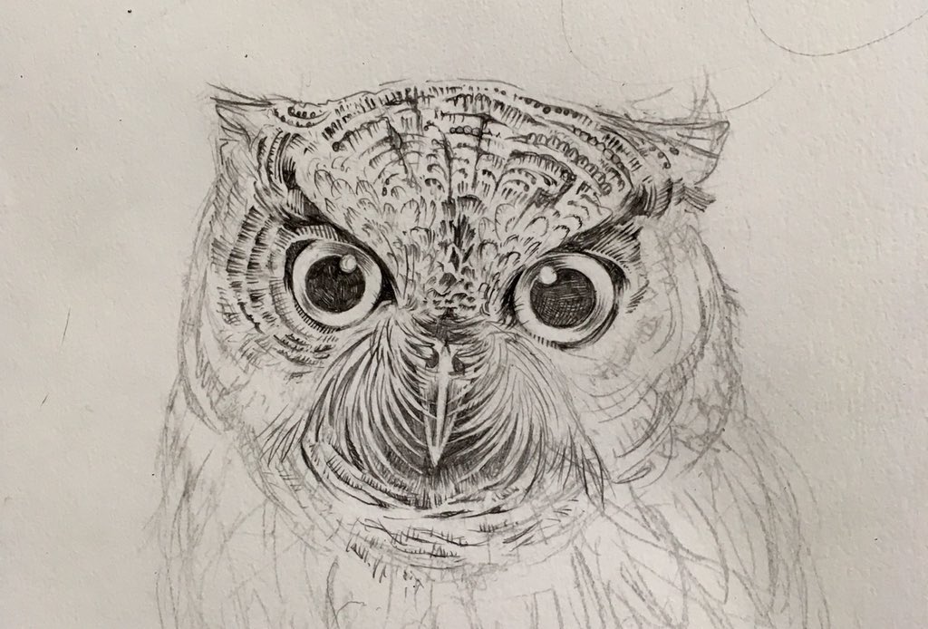 切り絵の下描きです。
※フクロウと孔雀は下描きの途中の画像です

#信じるか信じないかはあなた次第
#切り絵下描き 
