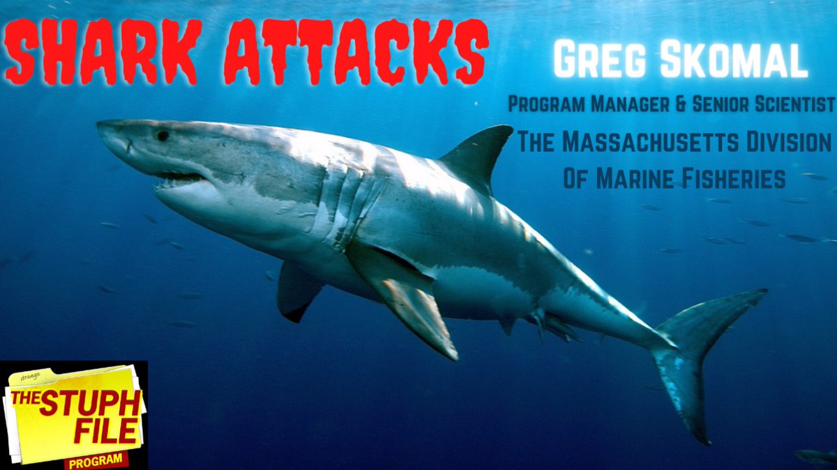 PAHolder's tweet photo. On the audio service, Audea @audeacompany a 2019 #StuphFileProgram chat with shark expert, @GregSkomal, Program Manager & Senior Scientist at The Massachusetts Division Of Marine Fisheries as he talks about the increase in shark attacks. https://t.co/ywFum9utqL
