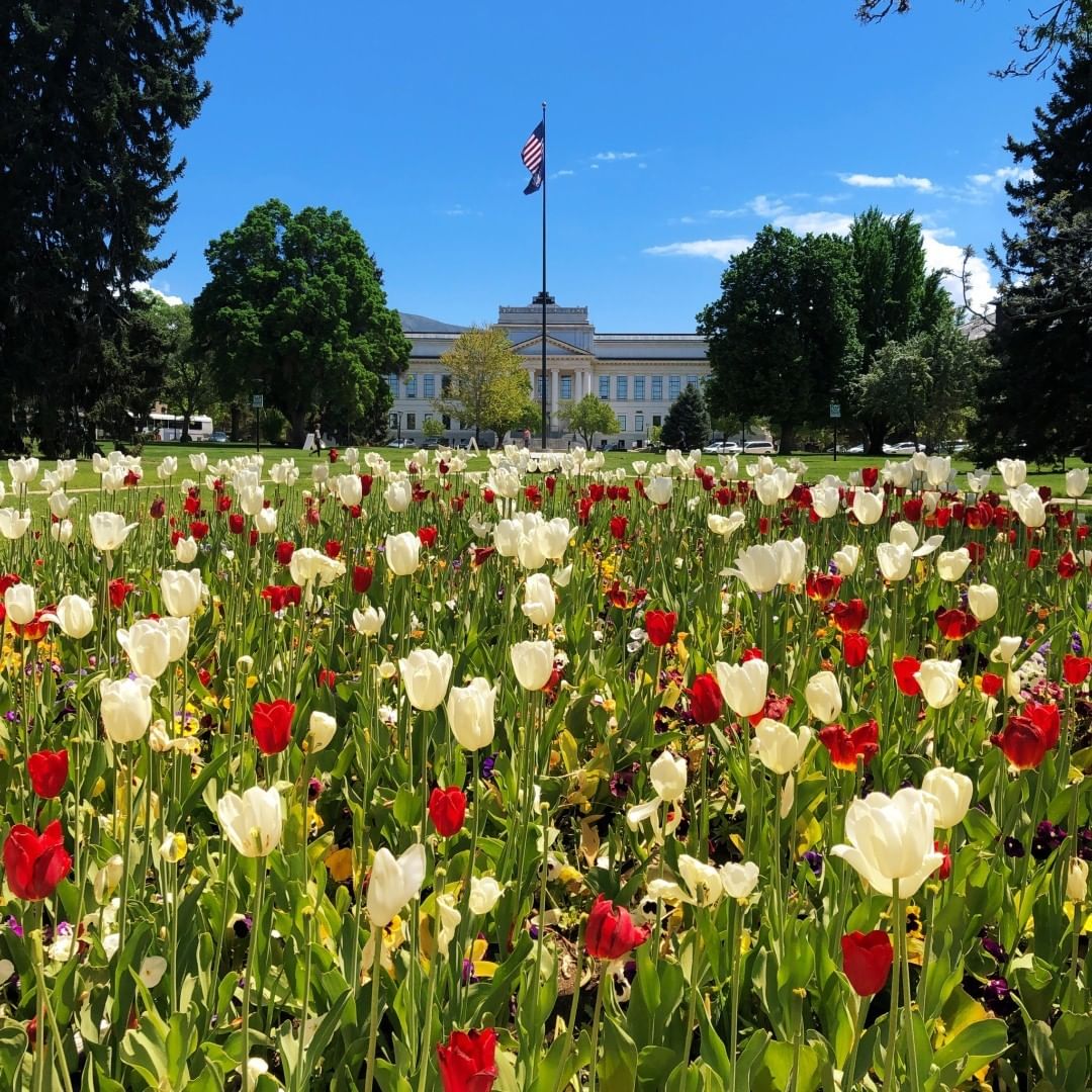 utahalumni's tweet photo. Red, White, and U! Happy Independence Day from U Alumni! ❤
.
.
.
#ForeverUtah #UtahAlumni #UofU https://t.co/fZKdpuO0Ks