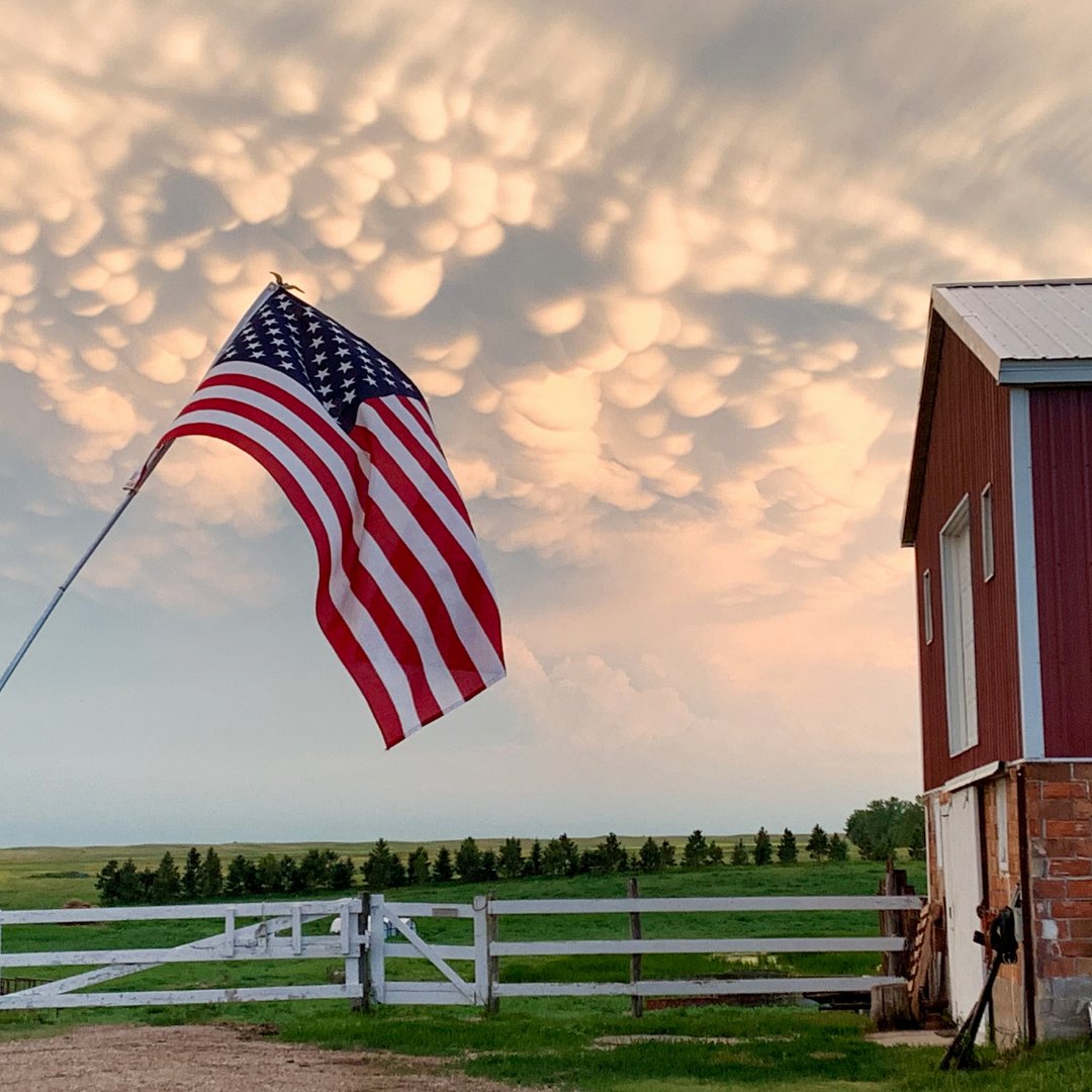 Happy 4th of July from the AgCode team! Wishing you a joyful and safe day of celebrations. #agtech #AgCode #farmmanagementsoftware #agriculture #farming #myjobdependsonag #4thofjuly #independenceday